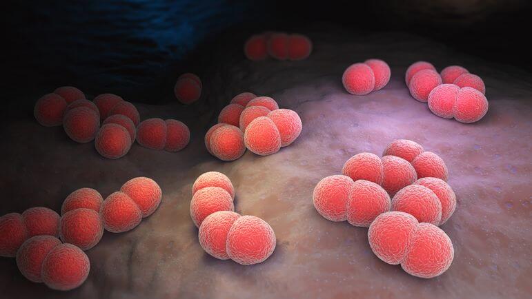 Un niveau exceptionnellement élevé pour le mois de janvier 2025.