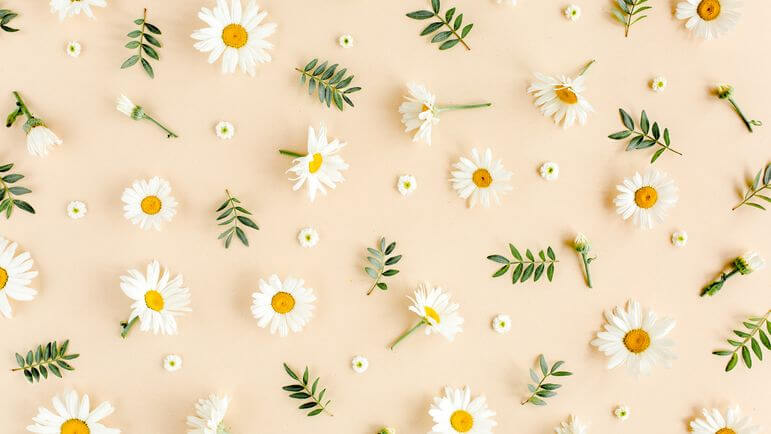 De nouvelles directives pour le début du printemps.