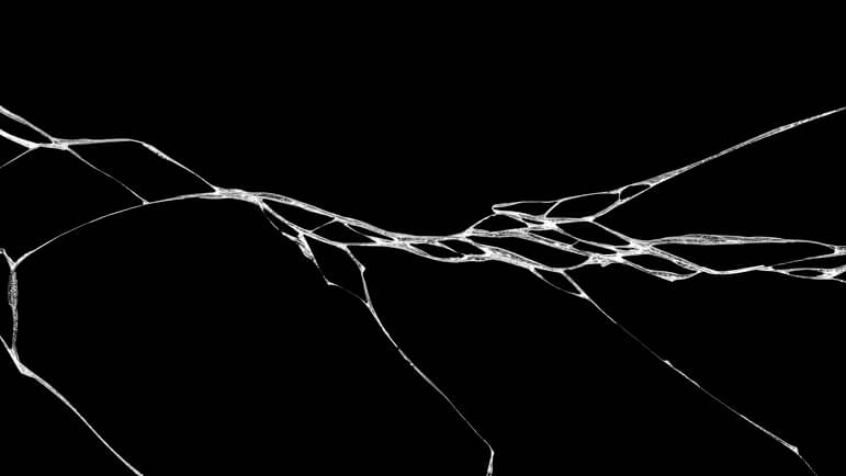 Attention : Danger de Rupture des Flacons EMBLAVEO en Verre Un risque de cassure ou de fissure du flacon attribué à un contact verre/verre dans les boîtes.