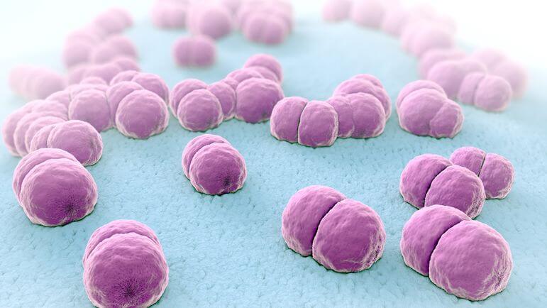 Sérogroupe B : vaccination remboursée chez les jeunes de 15 à 24 ans souhaitant se faire vacciner.